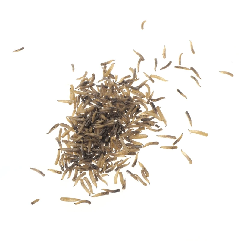 1 пакет 10 г искусственная приманка чистые сухие черви с высоким содержанием белка