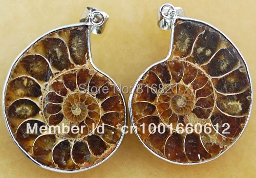 6 пар металлических подвесок из натурального аммонитового камня|pair pendant|stone