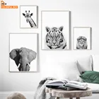Настенная живопись на холсте Черный Белый Тигр Лев слон медведь Жираф скандинавские плакаты и принты настенные картины для гостиной