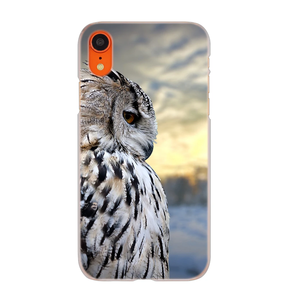 04 MLLSE Птица орел животного Сова Ночная мода обложка чехол для iphone XS Max X XR 8 7 6 Plus 5 SE 5S 5C 4 4S мобильных телефонов с красивыми рисунками, Лидер продаж - Цвет: 04