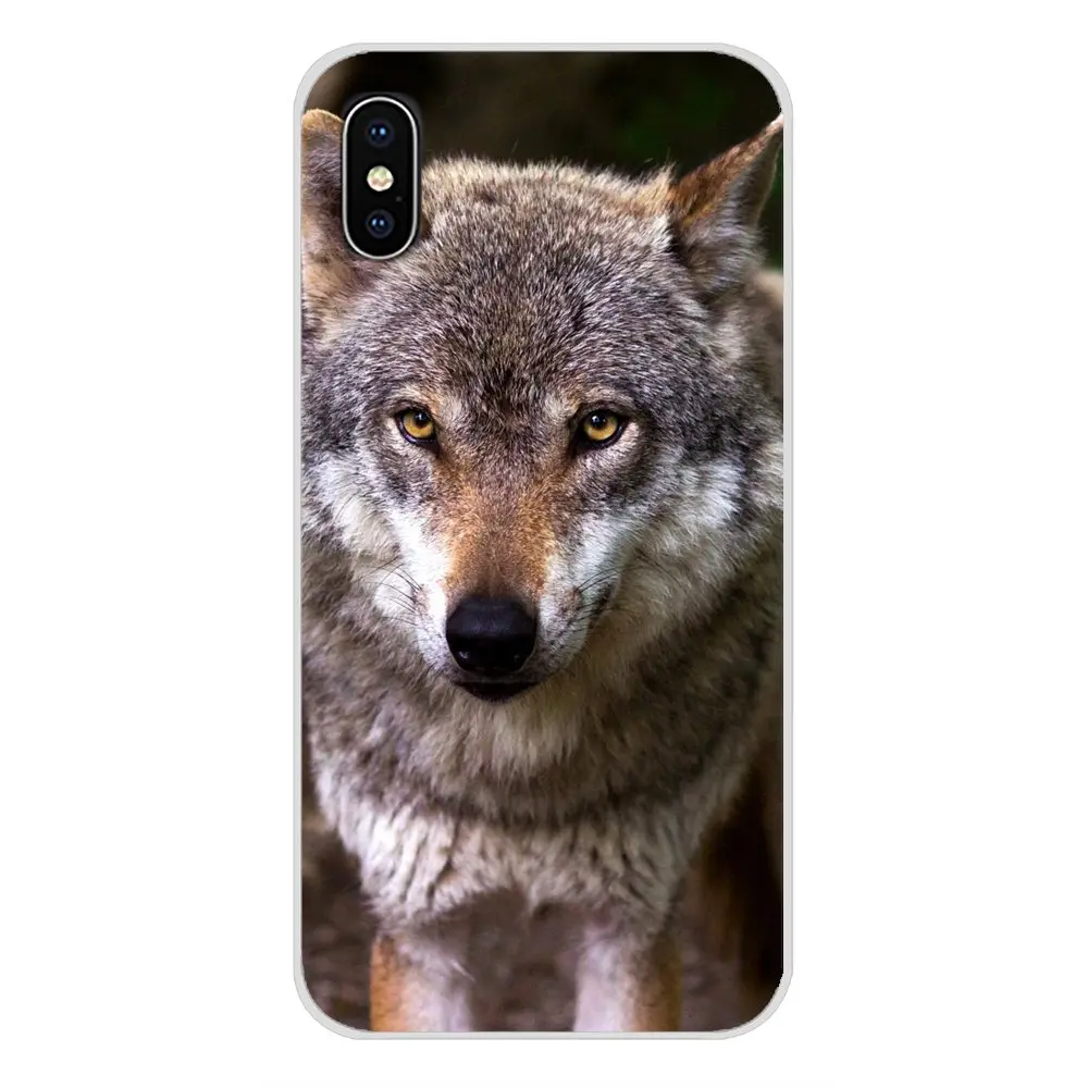 Wolf animal для Huawei P Smart Mate Honor 7A 7C 8C 8X 9 P10 P20 Lite Pro Plus Аксессуары чехлы