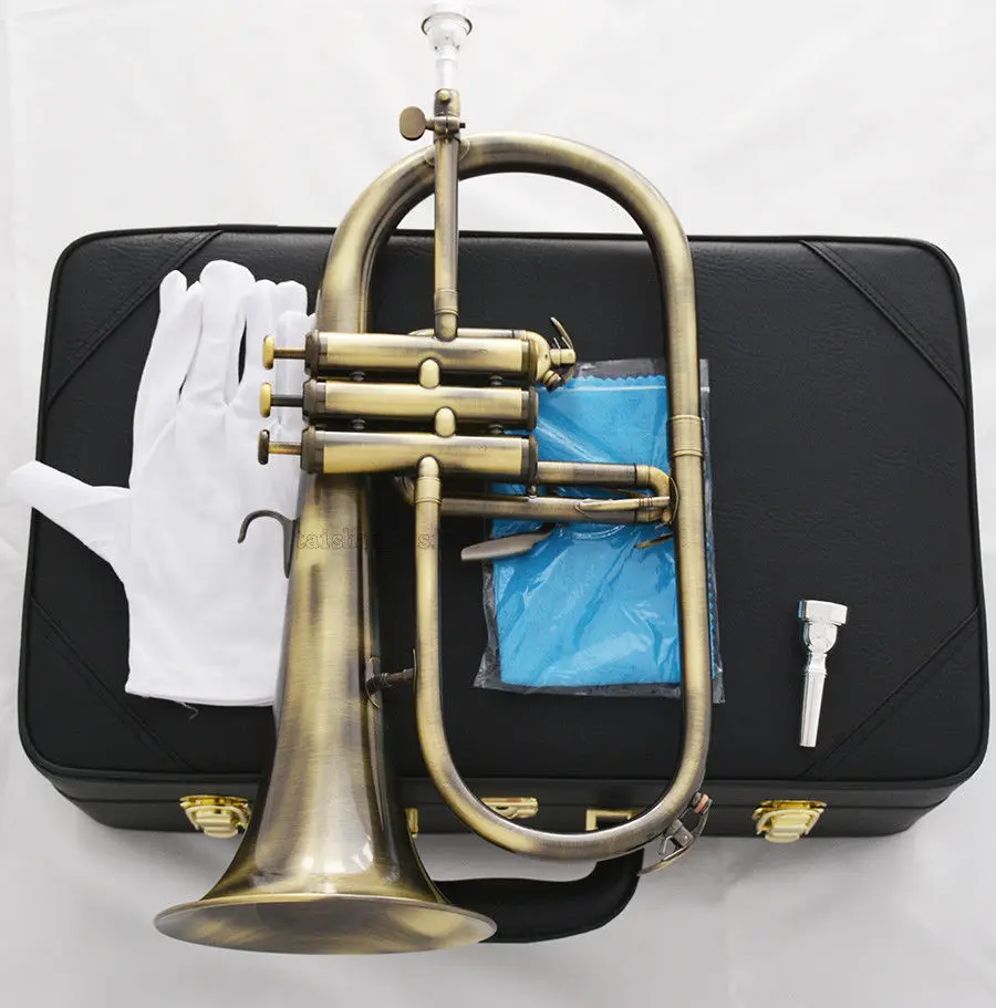 Профессиональный Bb flugelhorn сигнал «под старину» монельные клапаны с 2 рот кожаный чехол