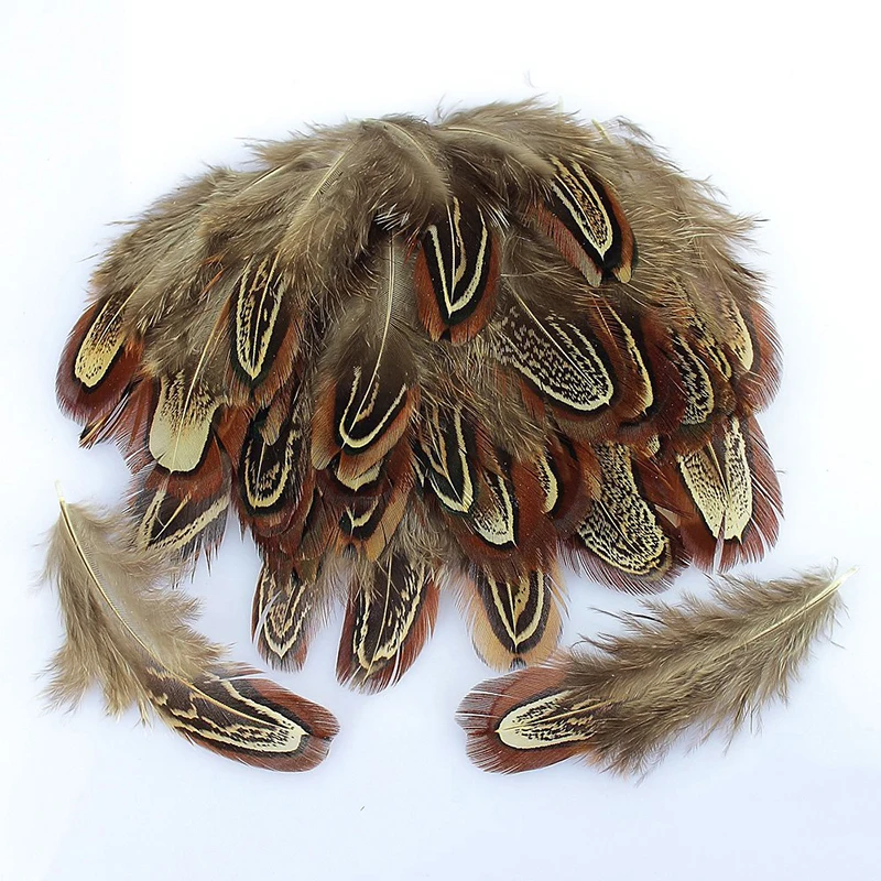 11 цветов 20 шт красивые фазаньи перья 5 8 см/2 3 дюйма|pheasant feather|feather featherfeathers pheasant |
