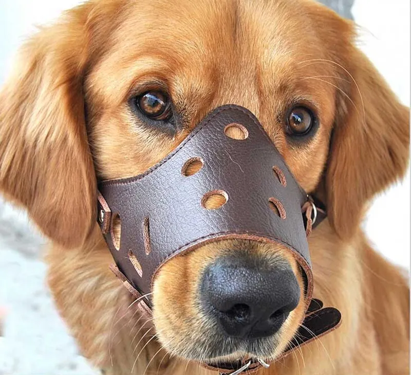 WALFOS 4 размера!!! 2016 новый высокое качество кожаный намордник любимчика собаки