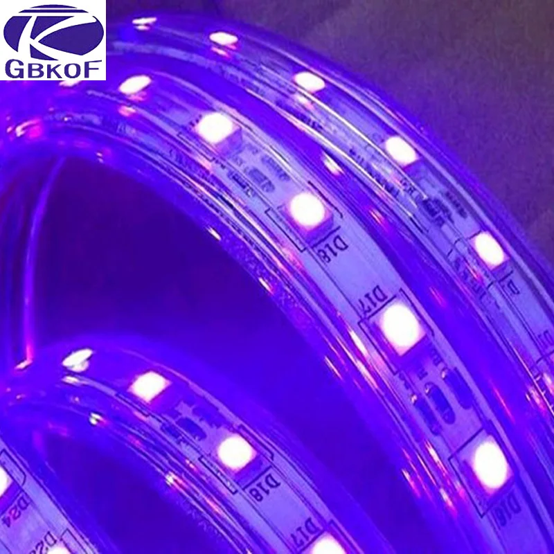 SMD 5050 AC 220 V Светодиодная лента наружная Водонепроницаемая 220 V 5050 V 220 V Светодиодная лента 220 V SMD 5050 Светодиодная лента светильник 1M 2M 5M 10M 15M 20M 220 V