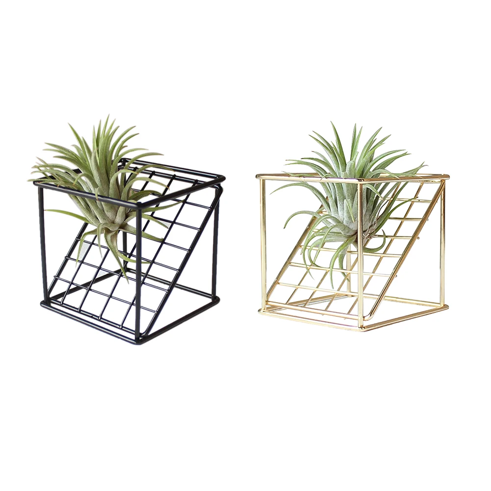 Подставка для цветов из кованого железа, Геометрическая настенная подставка для суккулентов, цветочный горшок для свадьбы, креативный контейнер для растений, украшение дома