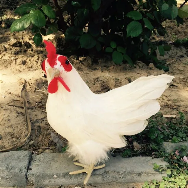 

Fake simulation chicken handmade craft /vivid and realistic ideal as home or store decoration 21*23 cm