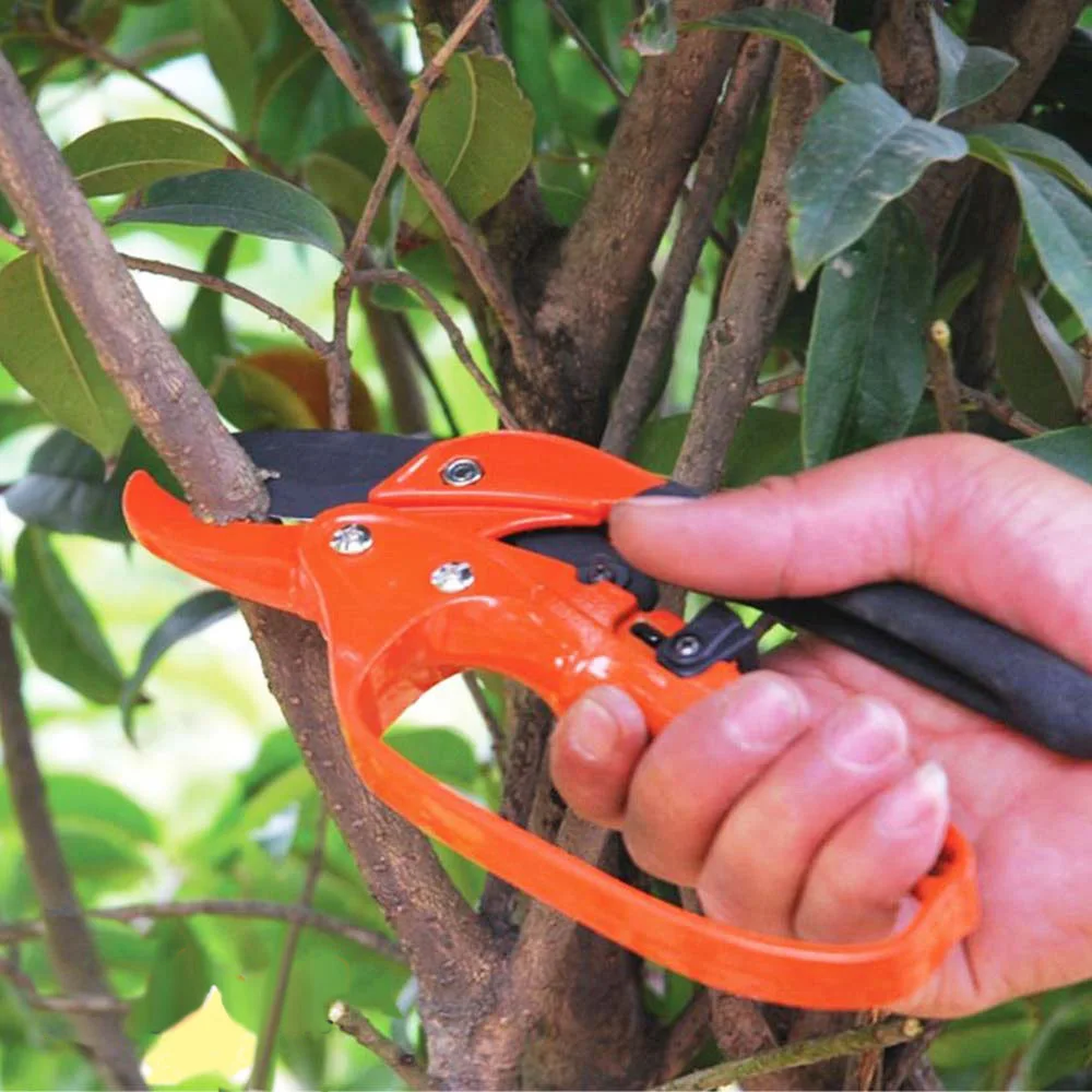 Garden Repair Tools Ratchet Pruning Shear 3-Stage Action Scissor 8 inch AD1021 | Инструменты