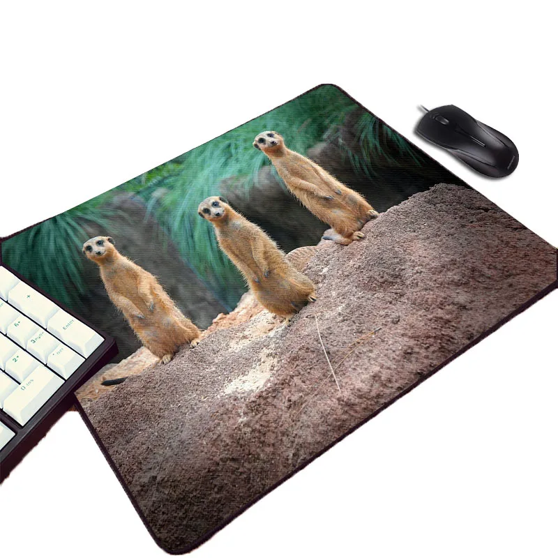 Mairuige 220x180x2MM Размеры Мини Pc компьютерная игра Мышь pad сурикатов животный принт