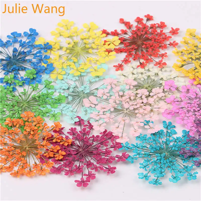 Julie Wang 50 шт. Натуральные Сушеные кружевные цветы образец для подвесок ожерелье