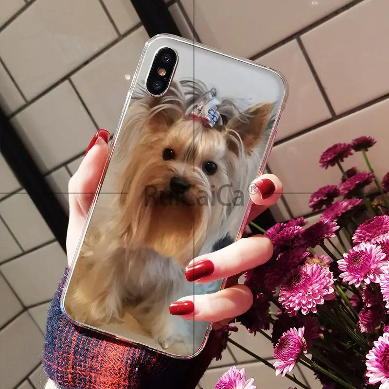 Умный чехол Ruicaica йоркширского терьера для Apple iPhone 8 7 6 6S Plus X XS MAX 5 5S SE XR | Мобильные