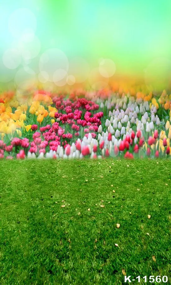 

Photographic Backdrop Vinyl Green Grass Colorful Flowers Hazy Giltter Background Photography Props Child Portrait Photo Backdrop