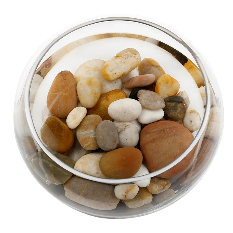 1 шт. стеклянные вазы Настольный аквариум для рыб водный горшок растений