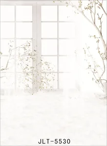 Виниловый фон с белым окошком для фотографий в помещении, на компьютере, для свадебных и детских фотографий