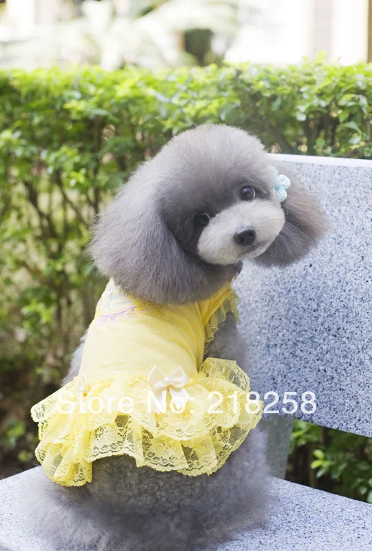 Новая Милая летняя одежда роскошное женское платье для собак бесплатная