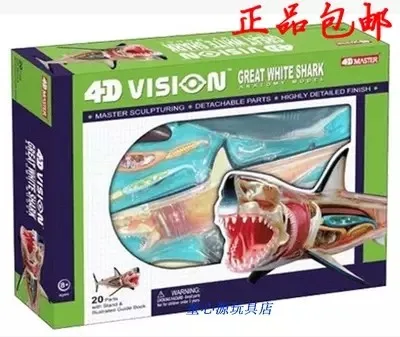 

4D MASTER Puzzle Assembling Animal Model Shark Anatomy assembled model 13.5cm*7cm*13cm free shipping
