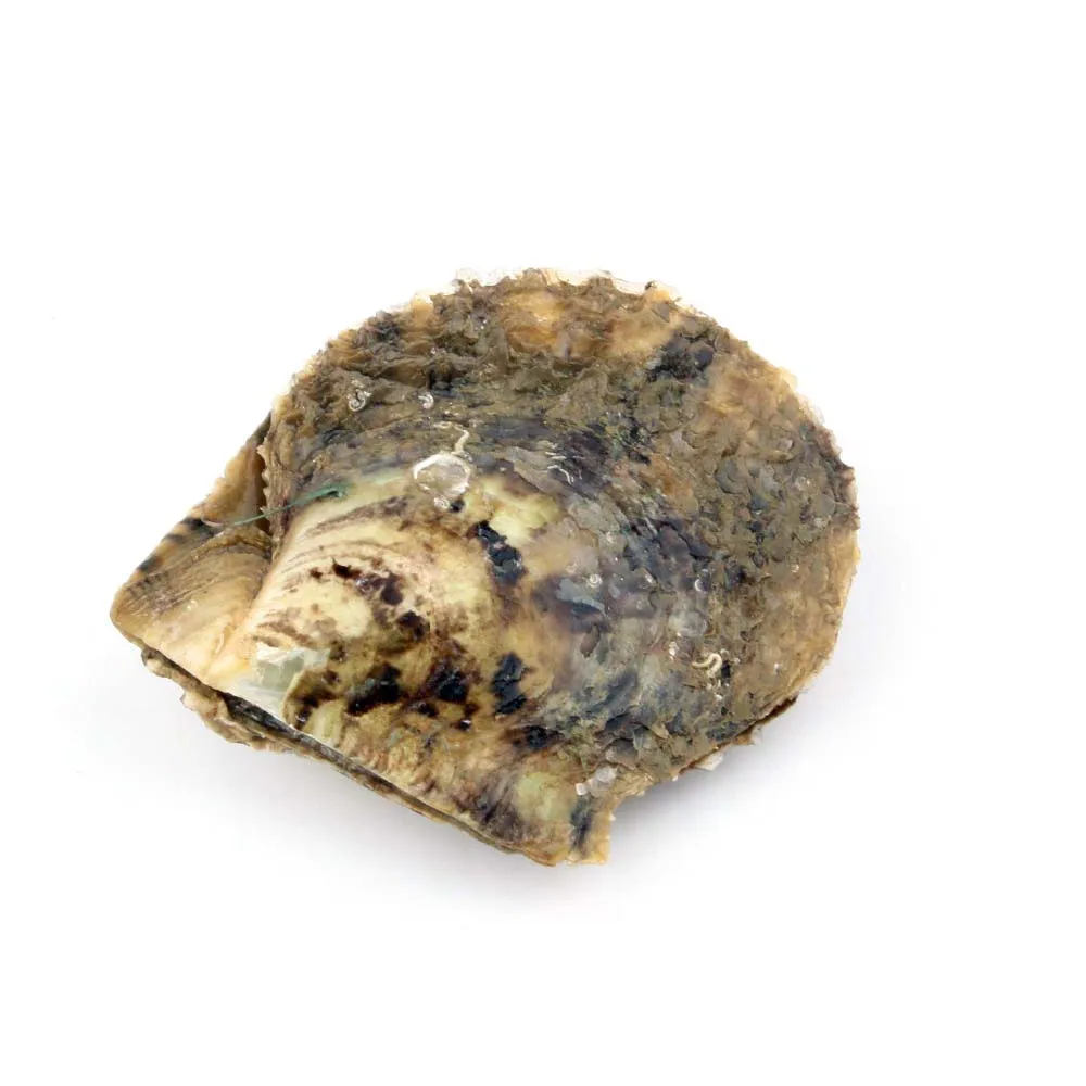 Жемчужные Oyster Akoya с искусственным жемчугом в виде сердца круглыми жемчужинами 7 8