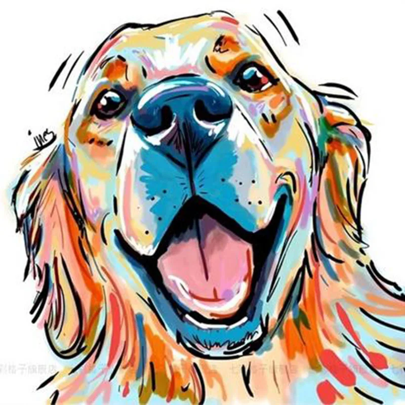 5D алмазная живопись Красота цветная фотография Полный Портрет Алмазная мозаика