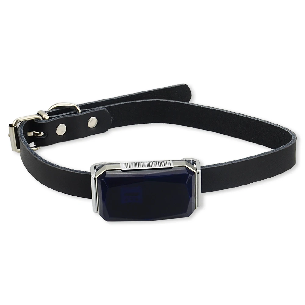 G12 sapphire GPS трекер для домашних животных LBS + Wifi местоположение отслеживание в