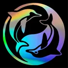 Новинка, автомобильная наклейка Инь Янь с дельфином для автомобиля, грузовика, окна, двери, бампера, байдарки, стены для дома, ноутбука, автомобиля, Виниловая наклейка для мотоцикла