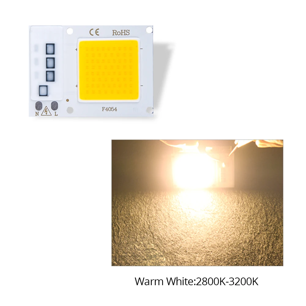 10 шт. Вт 20 30 Светодиодная COB чиповая лампа 110 В 220 Smart IC светодиодная Диодная матрица