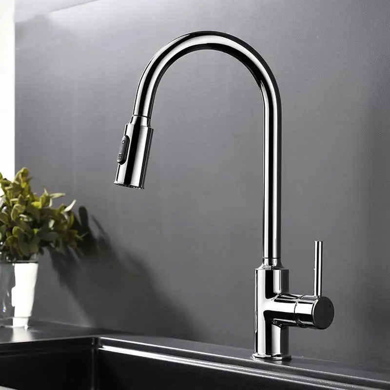 

Stretch Spring Kitchen Faucet Pull Out Double Mode Water Double Nozzle Single Handle Faucet Sink 360 Rotating Kitchen Taps