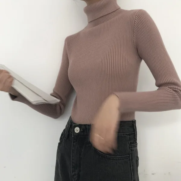 Теплый свитер с воротником под горло Для женщин 2018 осень-зима трикотажный