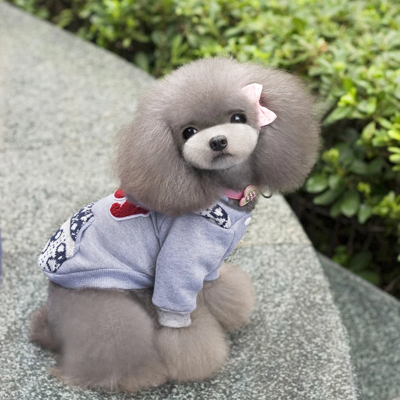 2018 Новый Стиль Популярные Свитера для собак худи маленьких серая/синяя
