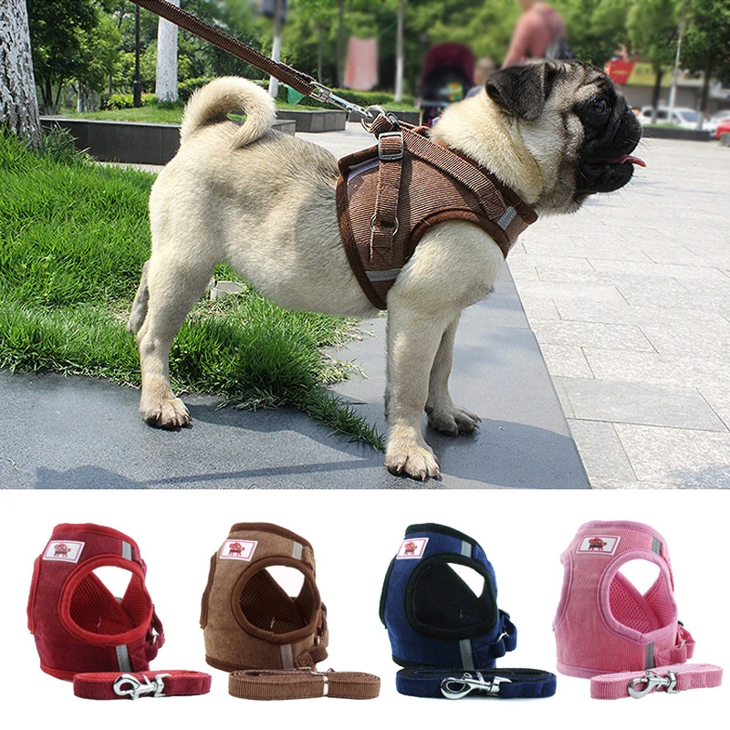 Поводок для кошек и собак регулируемый светоотражающий жилет поводок щенков