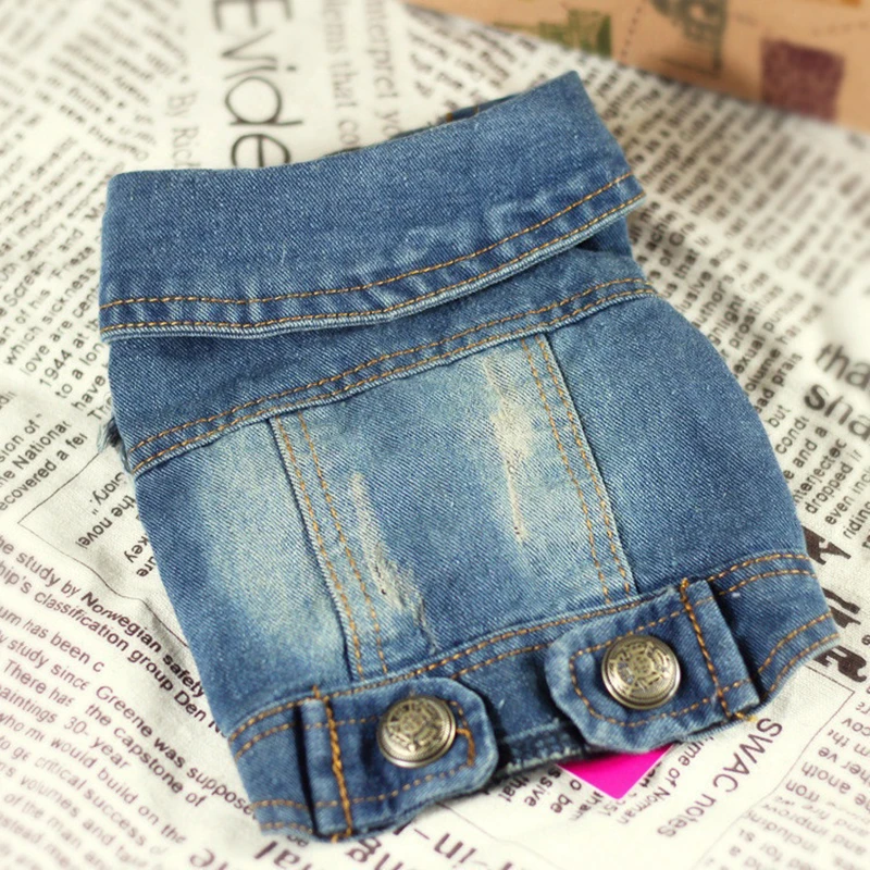 Comwarm Puppy Denim персонализированные джинсы для домашних животных кошка жилет пальто