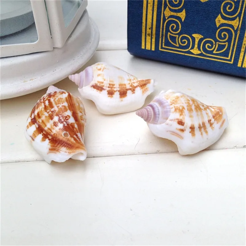 Ракушки морские 3-5 см 10 шт.