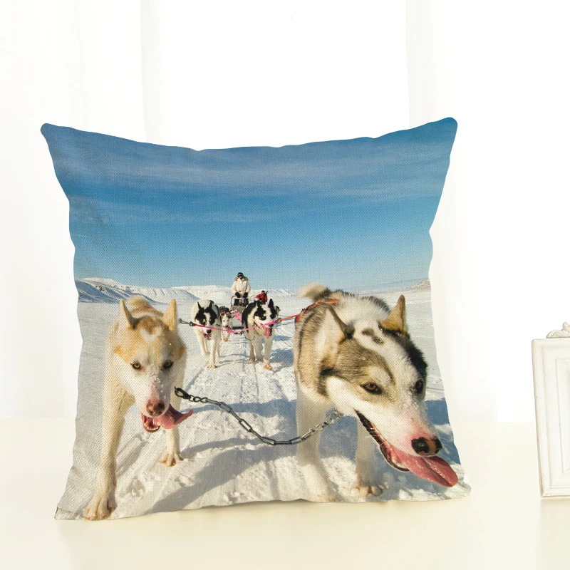 Наволочка матрас наволочки для собак тканый мопс автомобильное кресло