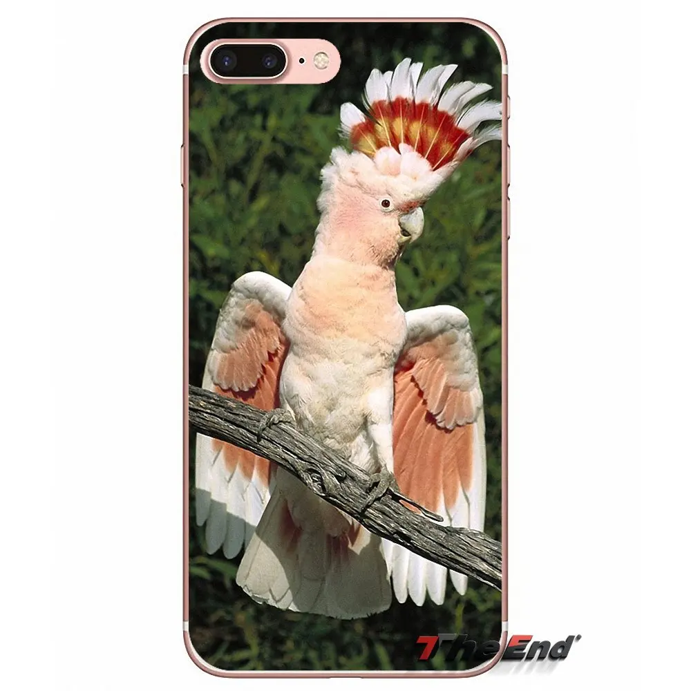Прозрачный чехол из ТПУ с радужным попугаем для iPhone X 4 4S 5 5S 5C SE 6 6S 7 8 Plus Samsung Galaxy J1 J3