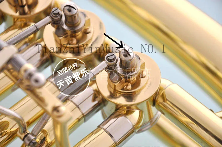 Французский рог/Barritone стандартная модель/Euphonium Входная модель/Tuba модель