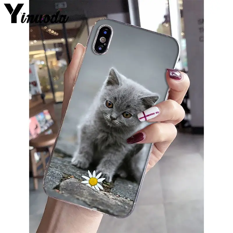 Yinuoda Британский короткошерстный Кот поделка-чехол для телефона для iPhone 5 5Sx 6 7plus 8 8Plus X XS MAX XR Fundas Capa