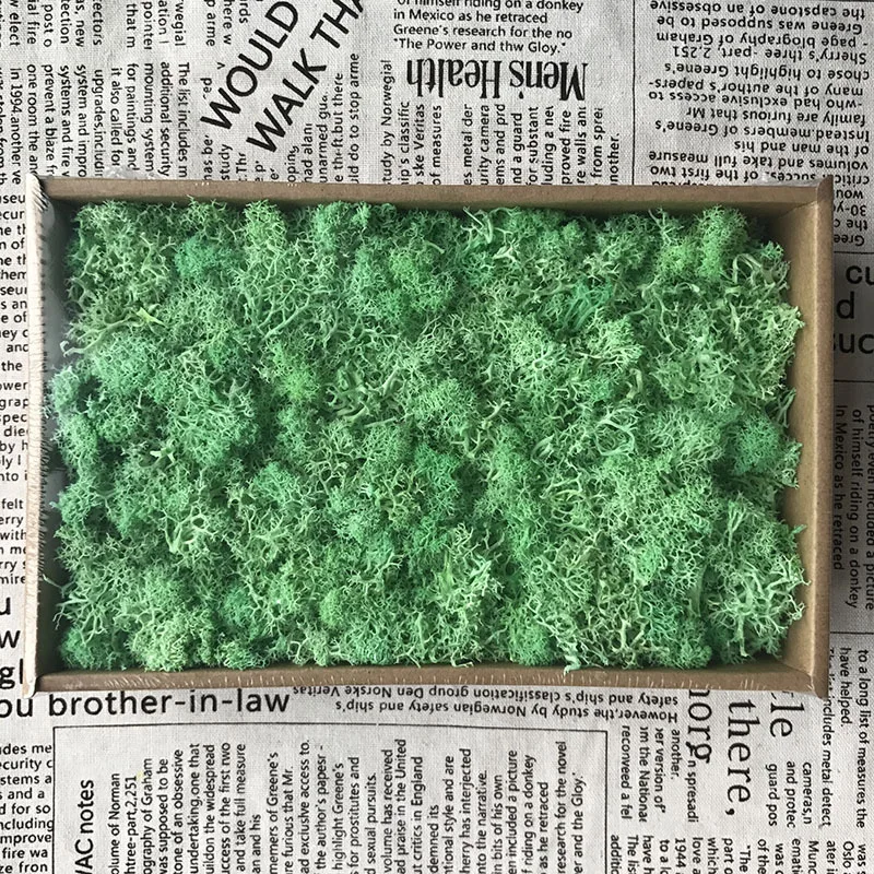 200 г DIY украшения Рождественские подарки долговечные сохраненные цветы мох