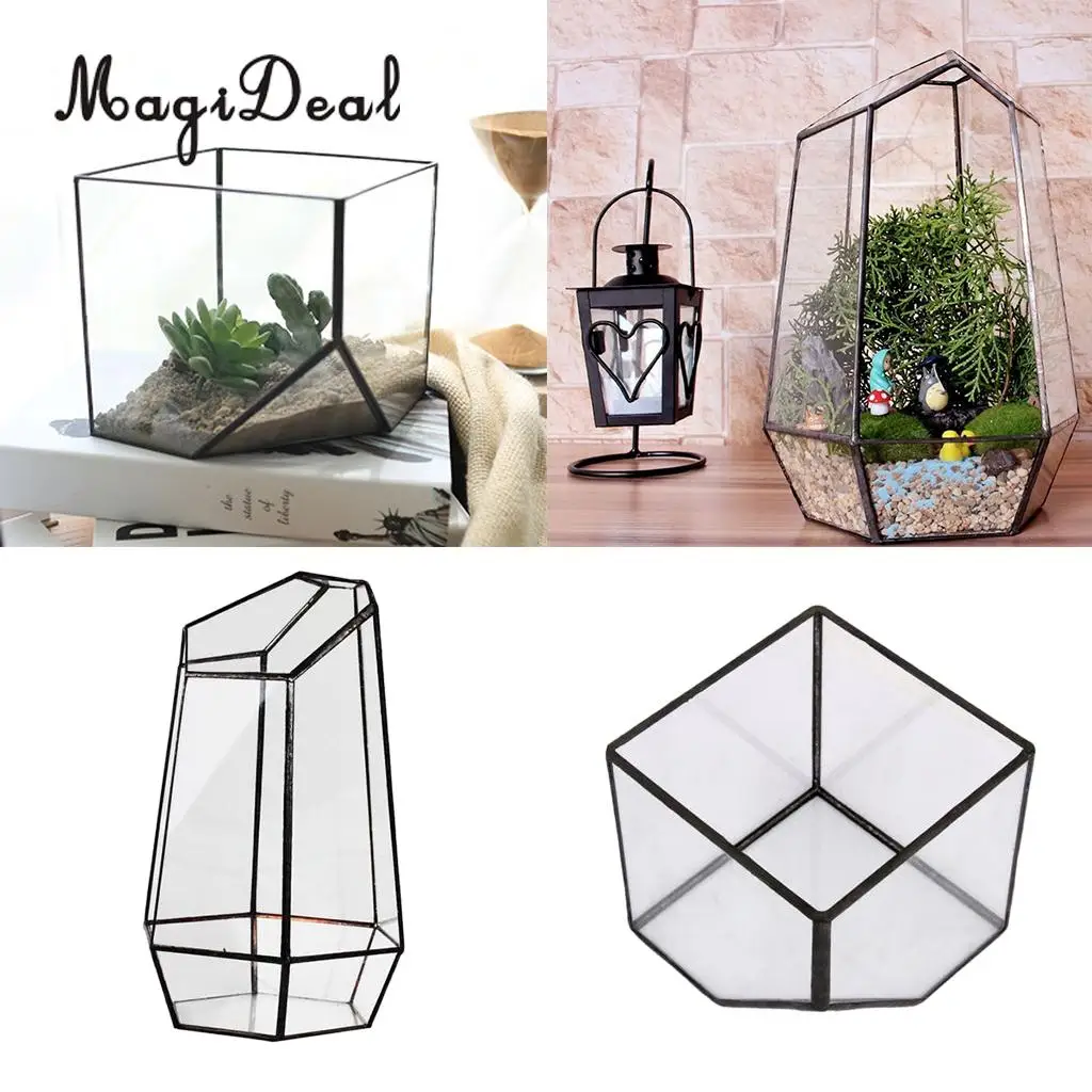 

2 Set Glass Terrarium Hexagonal and Cube Shape Miniature Garden House Micro Landscape Greenhouse Decor