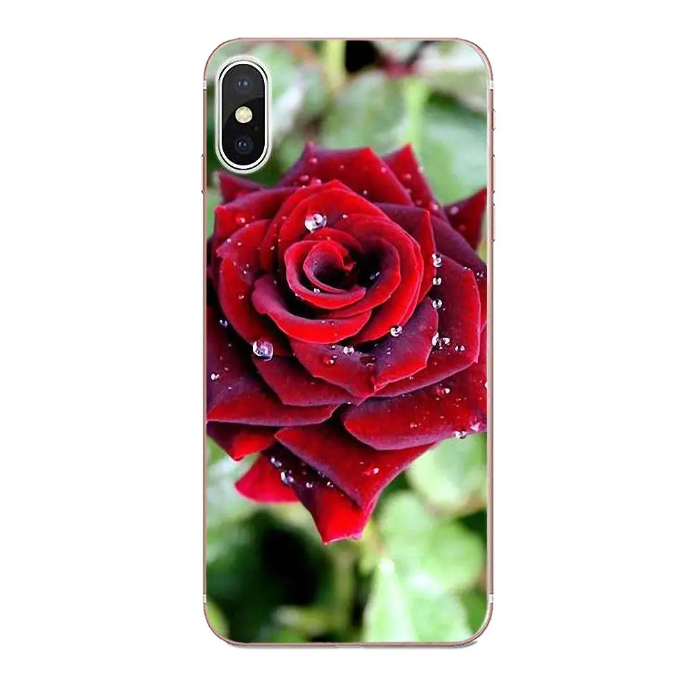 Красивые садовые красные розы цветы для Galaxy A3 A5 A7 On5 On7 2015 2016 2017 Grand Alpha G850 Core2 Prime S2