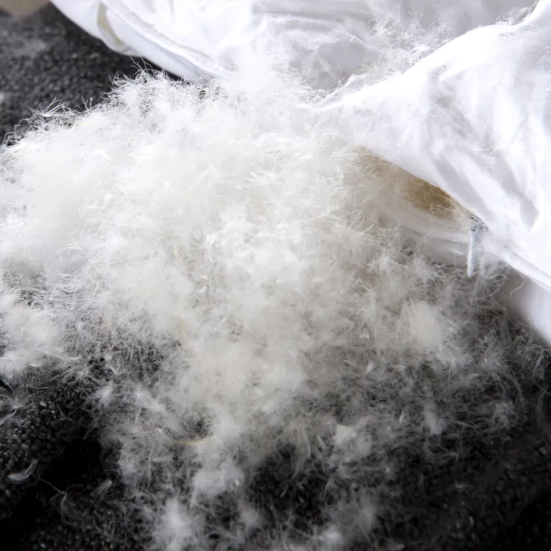 Комплект постельного белья из гусиного пуха теплый толстый роскошный хлопковый