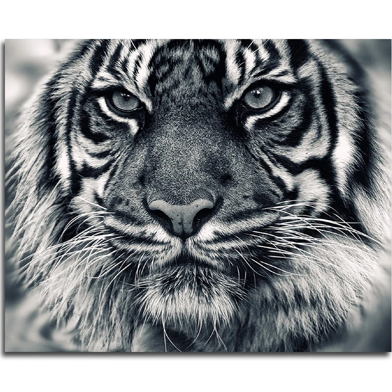 Сделай сам вышивка бисером животное Алмазная Живопись Вышивка крестом картины