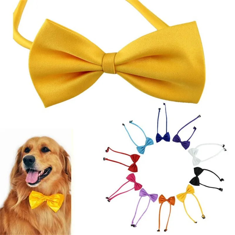 Аксессуары для Ошейников домашних животных 1 шт. ошейник собак галстук кошек