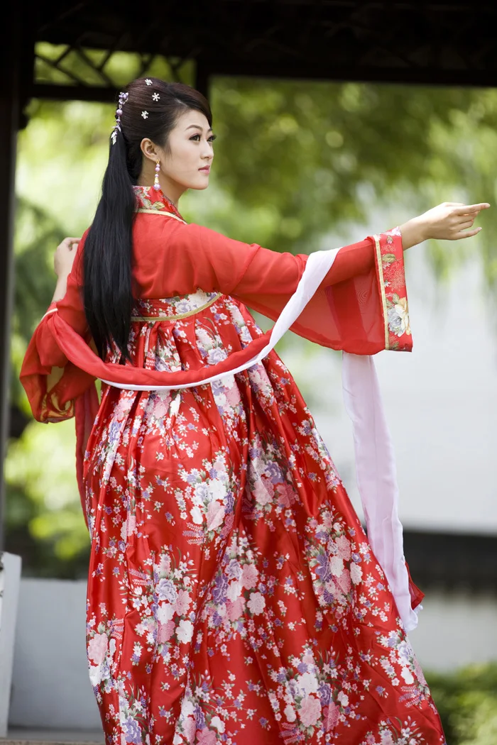 New Chinese Ancient Clothing Hanfu Skirt Hanfu Women's Skirt Costume Hanfu Double-breasted Dress
