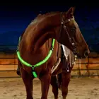 Двойной светодиодный нагрудник для лошади, нейлоновая лента для ночного видения, аксессуар для верховой езды, оборудование для конного спорта