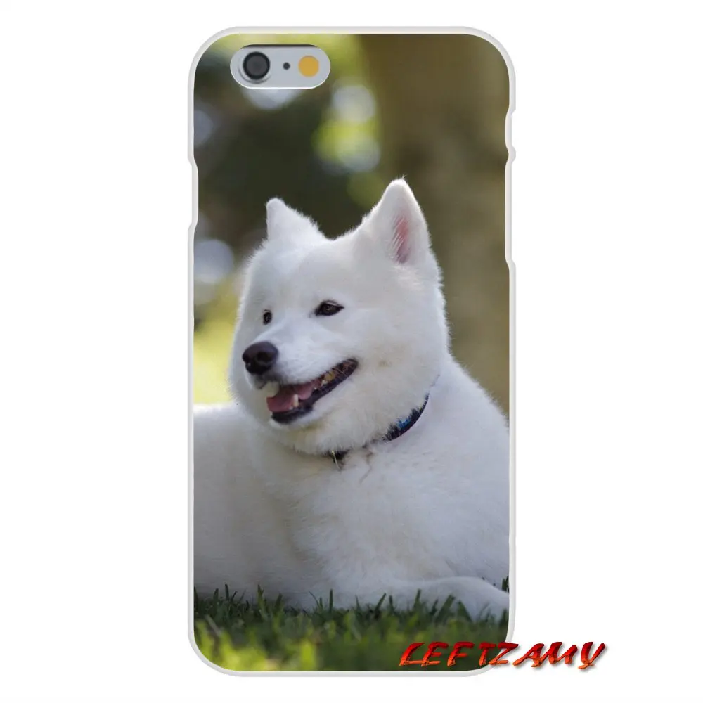 Прекрасный Samoyed собака для iPhone X XR XS MAX 4 4S 5 5S 5C SE 6 6S 7 8 Plus ipod touch Аксессуары чехлы