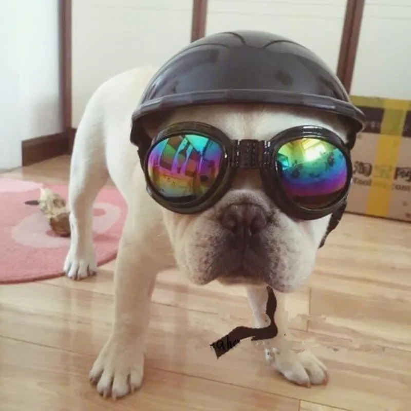

For Pet Motorcycle Helmet Hat Cap Dog Cat Costume Accessory Pet Supplies motorcycle ABS Plastic dog toy Helmet cap with