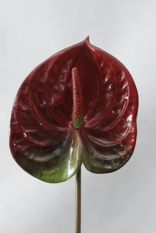 wine red 3D смешанные цвета антуриум комнатное искусственное растение для свадебной вечеринки Декоративные искусственные цветы домашний декор - Цвет: wine red