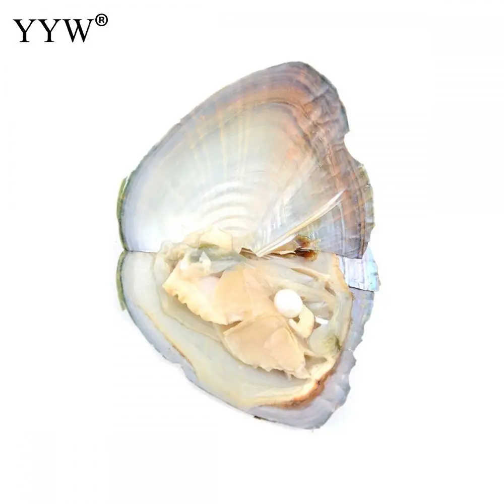 Жемчуг шт./пакет 5-8 мм вакуумная упаковка устрицы горячая Распродажа