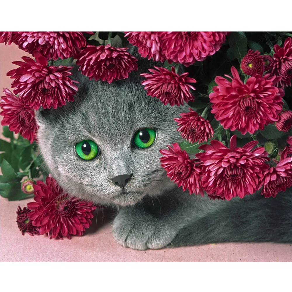 Алмазная вышивка с цветами кошкой 5D DIY алмазная живопись камни в форме ромба