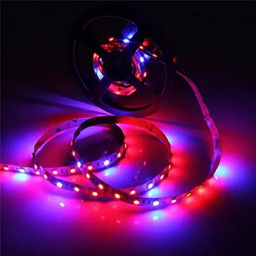 DC 12 V SMD 5050 светодиодный свет для выращивания растений 1 м 2 м 5 м Светодиодные полосы света для Аквариум теплица для гидропонного выращивания растений свет с мощностью