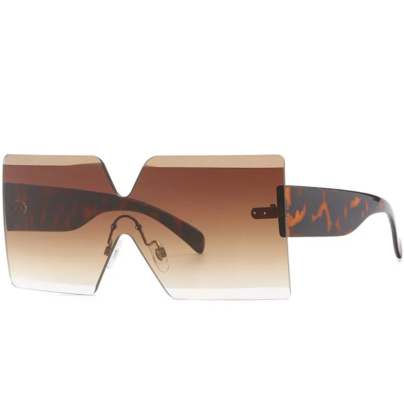 2019 негабаритных бескаркасных очки Для женщин модельер личности сиамские Ретро